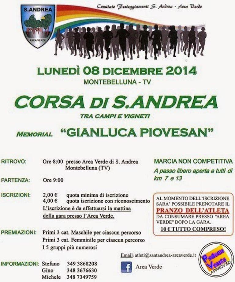 Corsa S.Andrea 2014